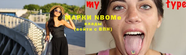 стаф Вязники