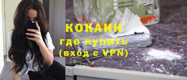 индика Волосово