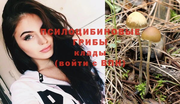 стаф Вязники