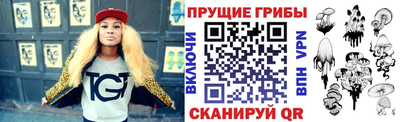 Псилоцибиновые грибы мухоморы гидра ссылка Завитинск